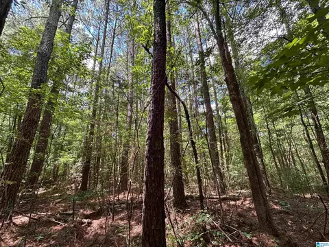 0 County Road 42 Apt 90- Acres #90+/- ACRES, Oneonta, AL 35121