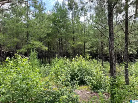 00 Cahaba Hill Rd #N/A, Brierfield, AL 35035