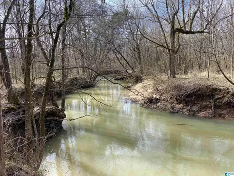 0 Highway 231 Apt Tract - 27- Ac #TRACT - 27+/- AC, Ashville, AL 35953