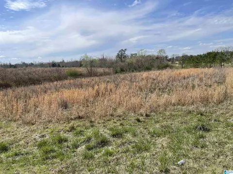00 County Road 83 #1, Clanton, AL 35045
