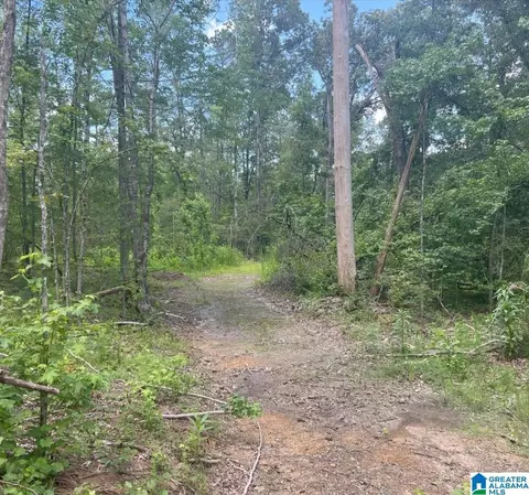 000 Fleming Rd #0, Vincent, AL 35178