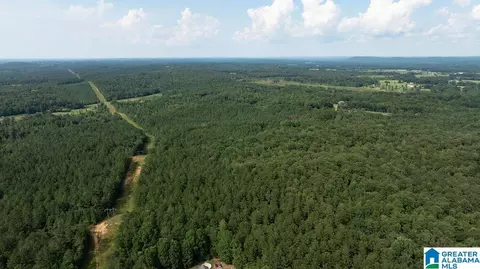 0 Wilkerson Rd #0, Fayette, AL 35555