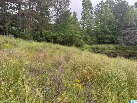 0 Busby Cut Off Rd #0, Nauvoo, AL 35578