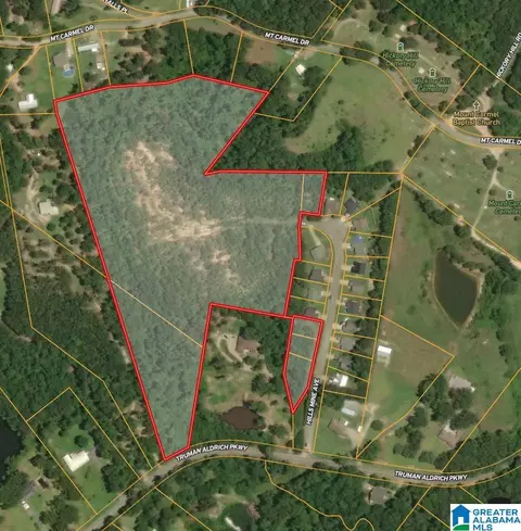 23 Acres Truman Aldrich Pkwy #23 ACRES, West Blocton, AL 35184