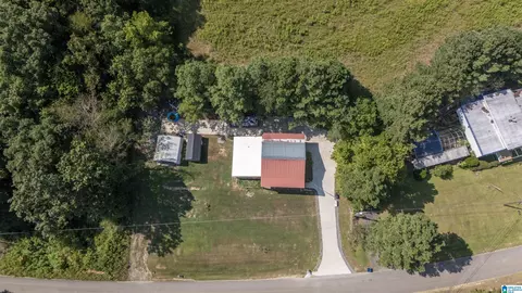View/Area - 3455 Ebell Rd, Oneonta, AL 35121 photo 1 of 1