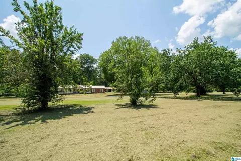 Exterior - 34 Raley St, Vincent, AL 35178 photo 18 of 18