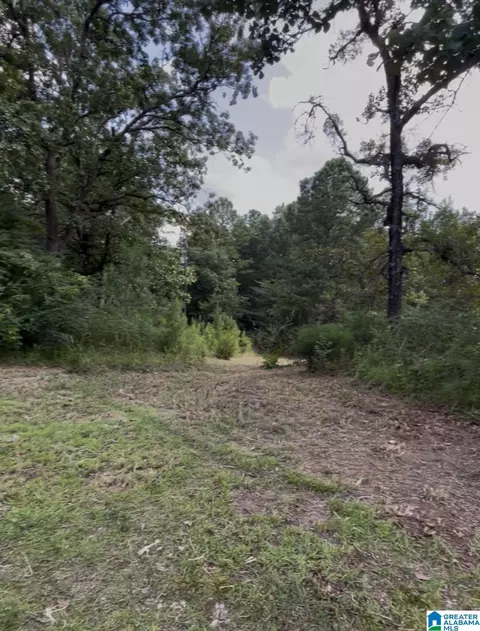 308 County Road 774 #/10, Montevallo, AL 35115