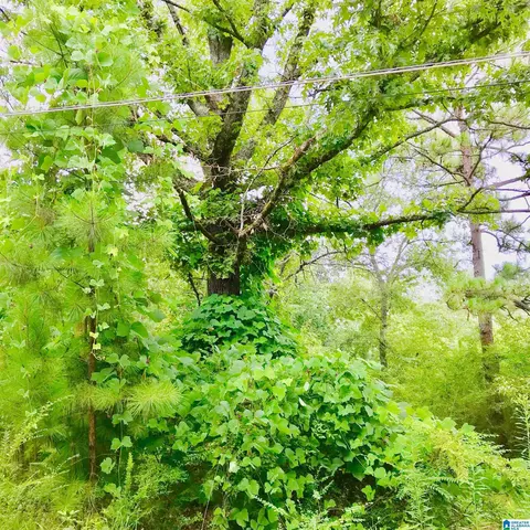 14548 Highway 280 #LOT 1 AND LOT #2, Chelsea, AL 35043