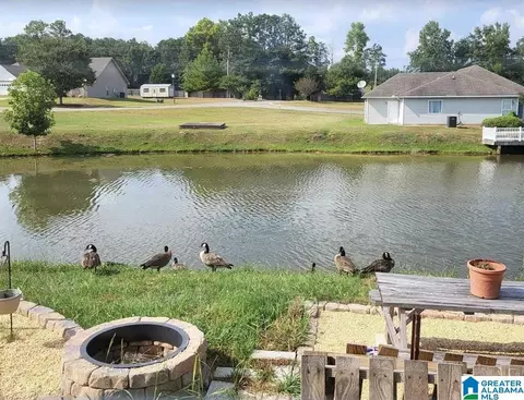 View/Area - 1005 Spring View Ln, Clanton, AL 35045 photo 3 of 3