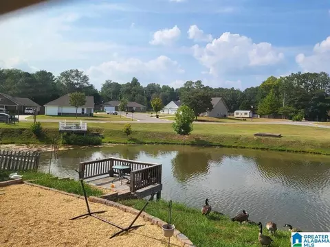 View/Area - 1005 Spring View Ln, Clanton, AL 35045 photo 1 of 3