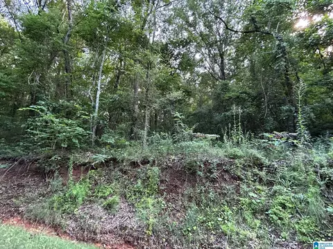 0 Alexandria Wellington Rd #14, Alexandria, AL 36250
