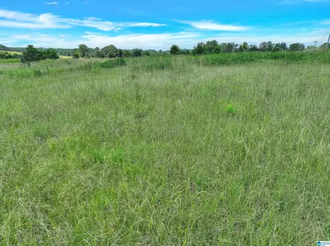0 Highway 191 #1, Jemison, AL 35085