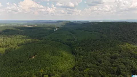 1700 Lakeside Dr #N/A, Mc Calla, AL 35111