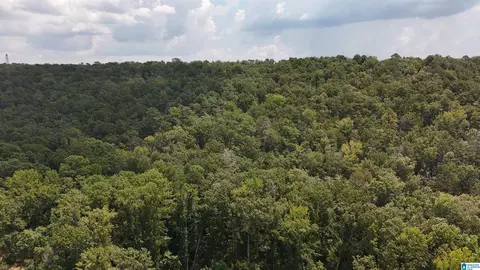 1700 Lakeside Dr #N/A, Mc Calla, AL 35111