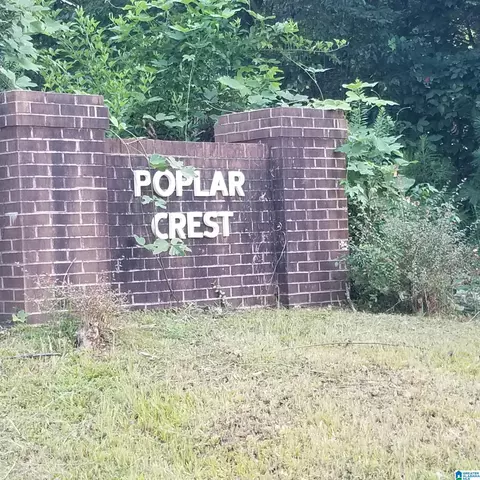 13100 Hwy 174 Poplar Dr #1, Odenville, AL 35120