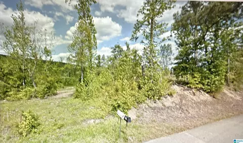 7201 New Liberty Rd #1, Jacksonville, AL 36265