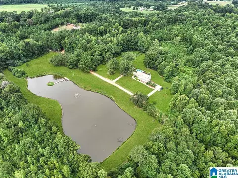 263 County Road 433, Clanton, AL 35045 photo 36