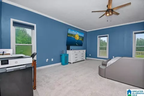 263 County Road 433, Clanton, AL 35045 photo 16