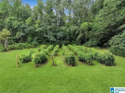 263 County Road 433, Clanton, AL 35045 photo 42