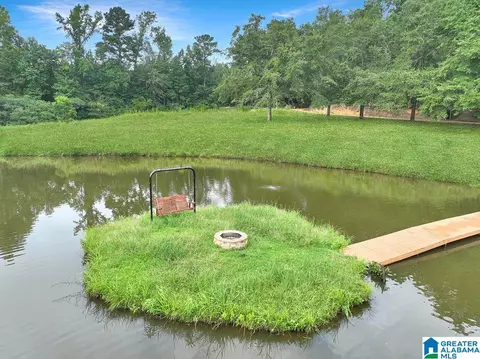 263 County Road 433, Clanton, AL 35045 photo 45