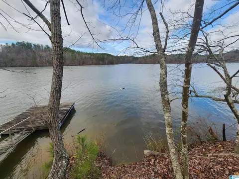 lot8 Eagle Point Rd #1, Rockford, AL 35136