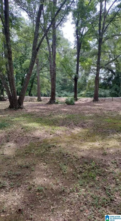 Other - 104 Adriane Dr, Clanton, AL 35045 photo 8 of 17