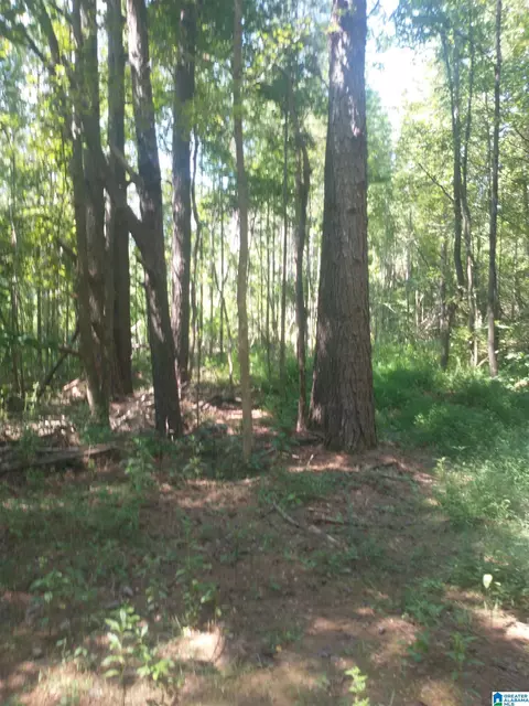 1570 County Road 41 #36, Weogufka, AL 35183