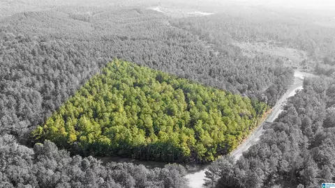 520 Sweet Apple Rd #1, Pell City, AL 35128