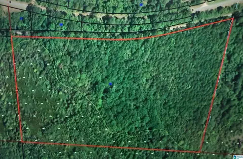 0 SW Fernbank Rd #61590, Millport, AL 35576