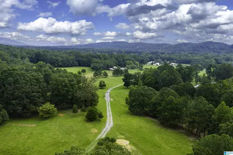 1187 Crawfords Cove Rd, Springville, AL 35146