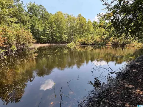 0 Mountain Brow Drive Apt 1735- Acres #17.35+/- ACRES, Oneonta, AL 35121
