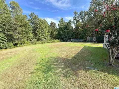 Exterior - 91 Briarfield Rd, Warrior, AL 35180 photo 6 of 9