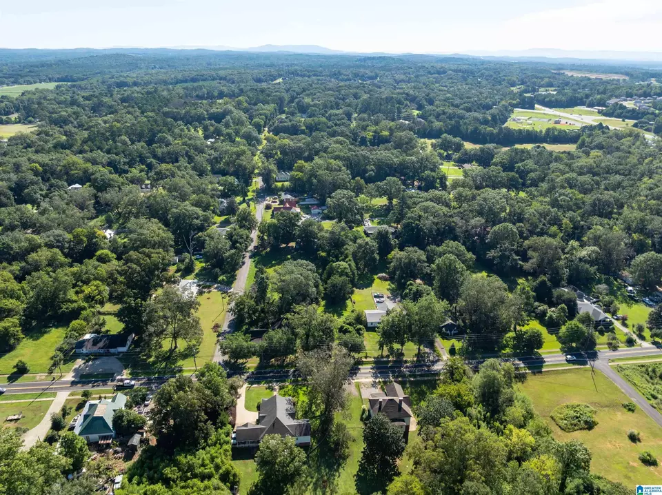 View/Area - 20 3rd Ave, Lincoln, AL 35096 photo 3 of 14