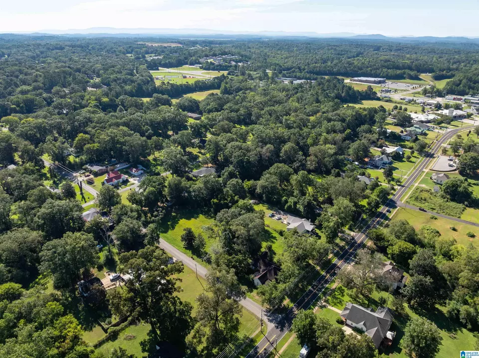 View/Area - 20 3rd Ave, Lincoln, AL 35096 photo 14 of 14