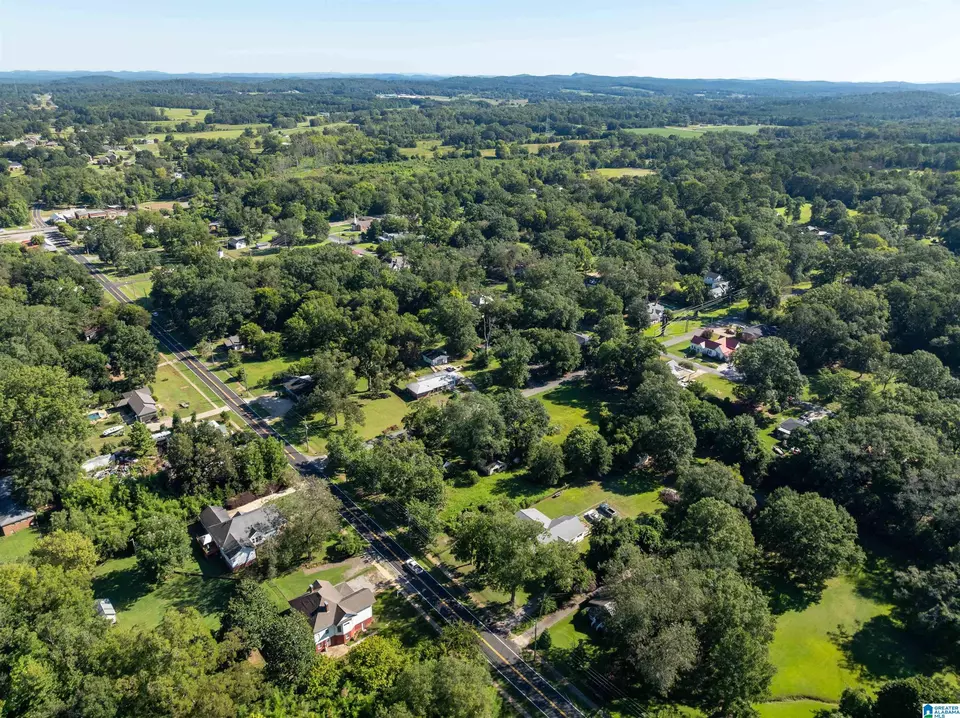 View/Area - 20 3rd Ave, Lincoln, AL 35096 photo 4 of 14