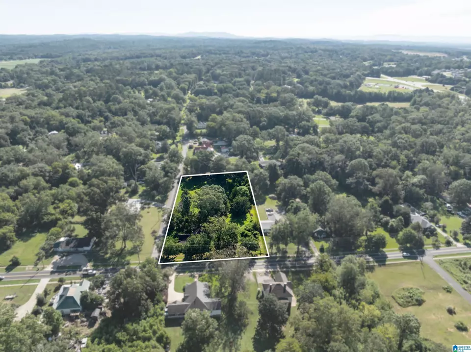 View/Area - 20 3rd Ave, Lincoln, AL 35096 photo 2 of 14