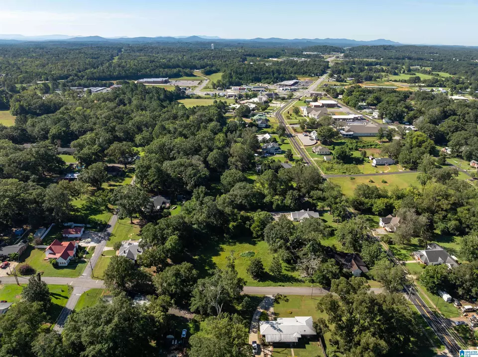 View/Area - 20 3rd Ave, Lincoln, AL 35096 photo 13 of 14