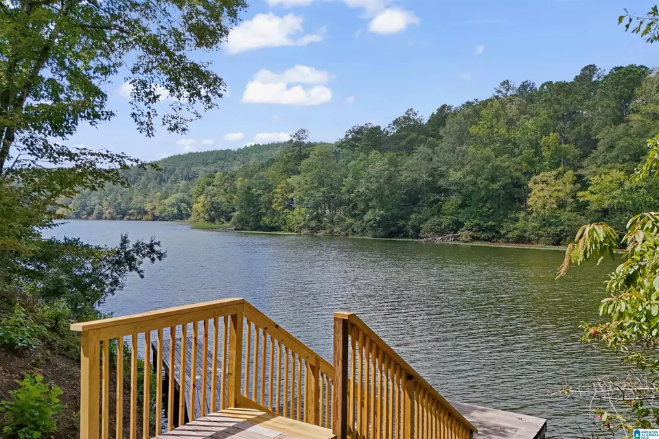View/Area - 290 Paint Creek Overlook, Sylacauga, AL 35151 photo 9 of 17