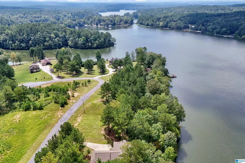 View/Area - 290 Paint Creek Overlook, Sylacauga, AL 35151 photo 17 of 17