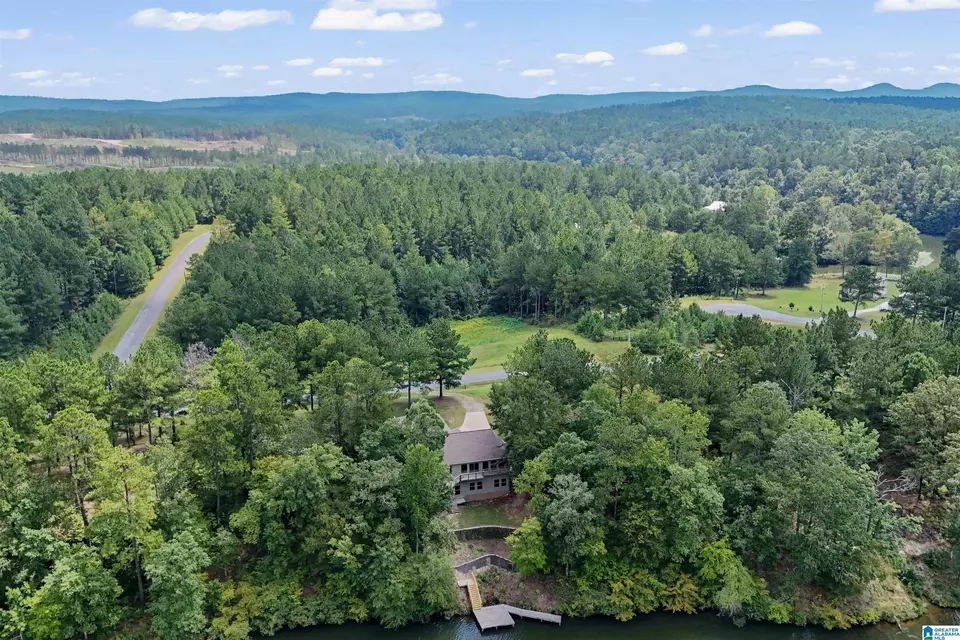 View/Area - 290 Paint Creek Overlook, Sylacauga, AL 35151 photo 12 of 17