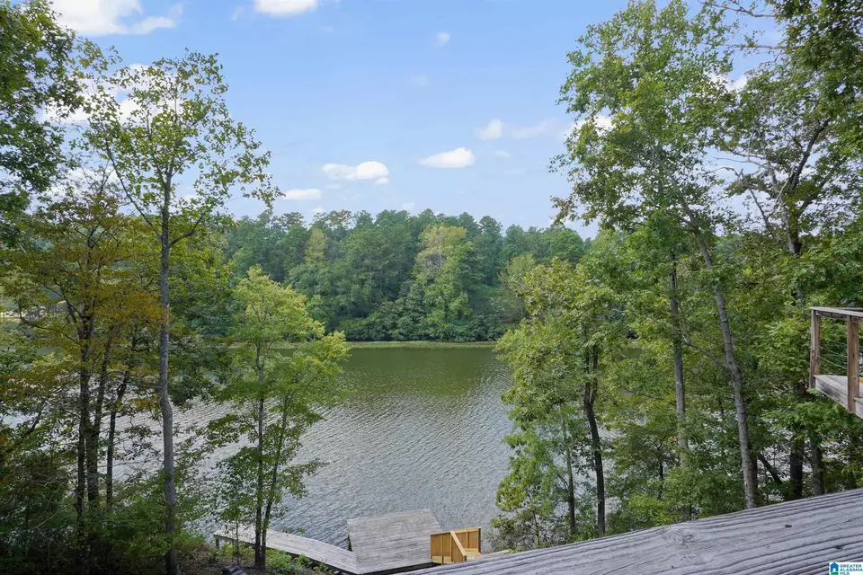 View/Area - 290 Paint Creek Overlook, Sylacauga, AL 35151 photo 2 of 17