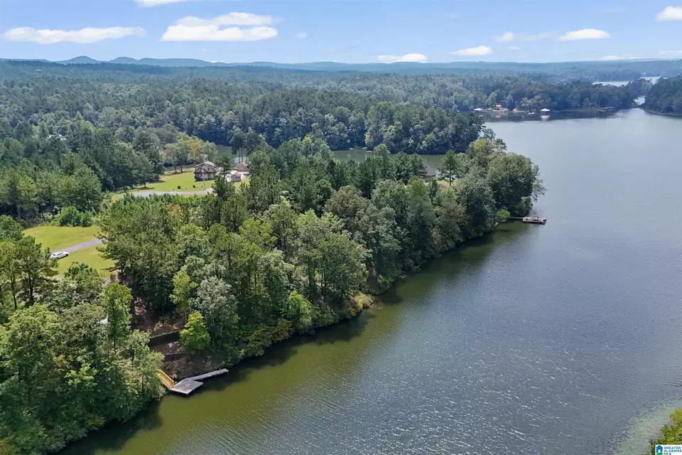 View/Area - 290 Paint Creek Overlook, Sylacauga, AL 35151 photo 13 of 17