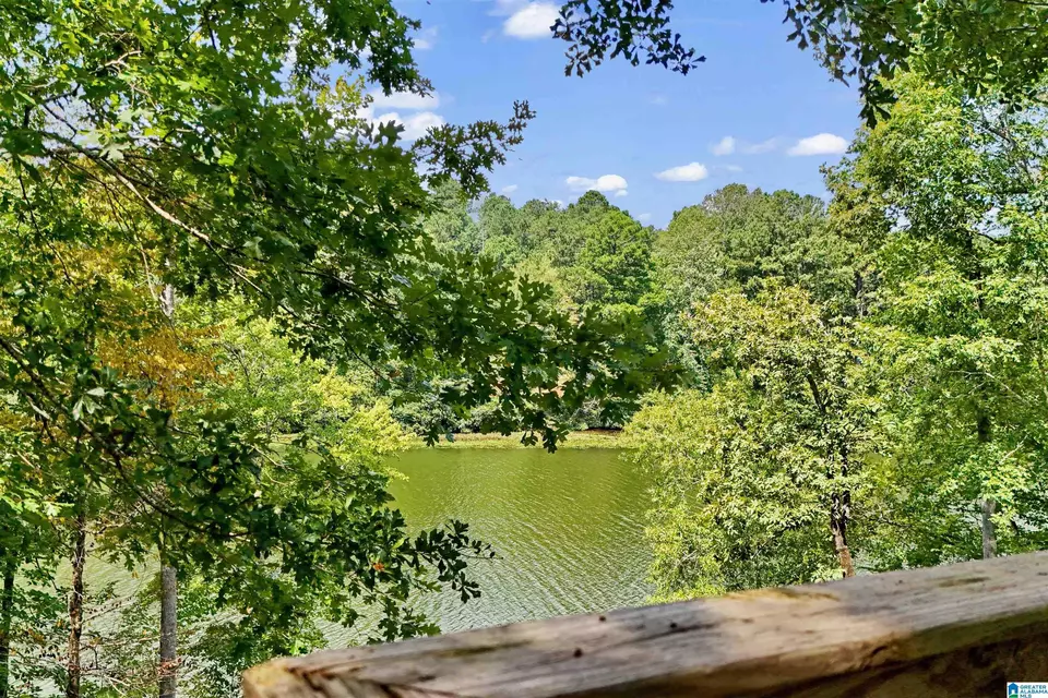 View/Area - 290 Paint Creek Overlook, Sylacauga, AL 35151 photo 11 of 17