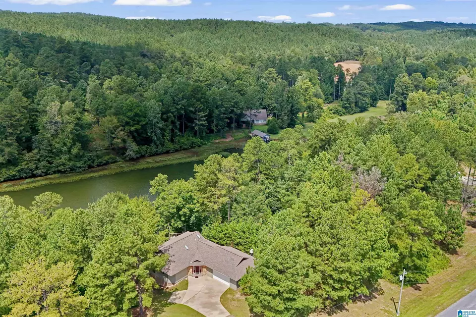 View/Area - 290 Paint Creek Overlook, Sylacauga, AL 35151 photo 16 of 17