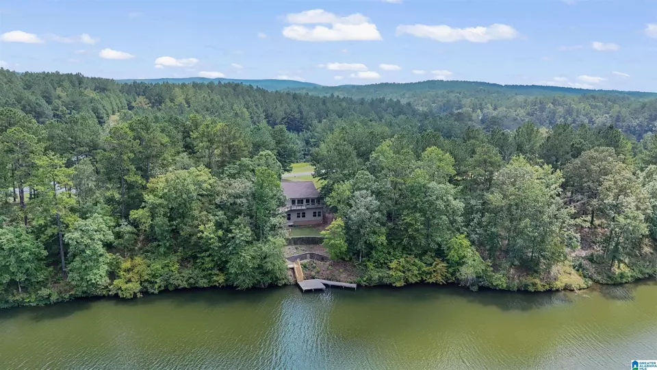 View/Area - 290 Paint Creek Overlook, Sylacauga, AL 35151 photo 3 of 17