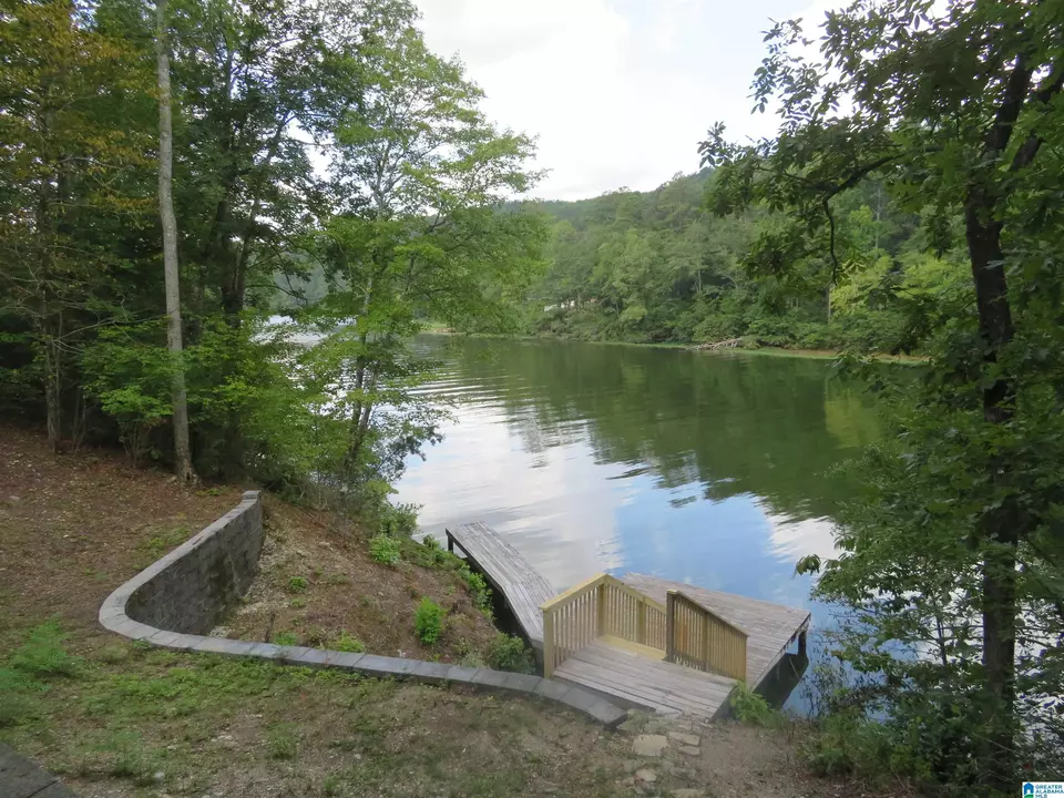 View/Area - 290 Paint Creek Overlook, Sylacauga, AL 35151 photo 7 of 17
