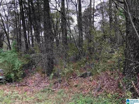 725 Carl Raines Lake Rd #1, Hoover, AL 35244