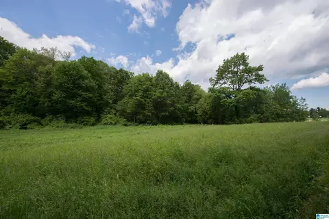 4160 Center Point Rd #001, Pinson, AL 35126