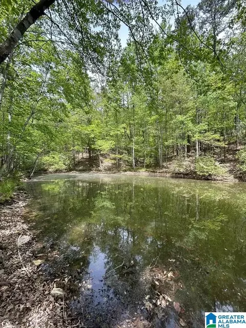 lot S 123 Red Cedar Dr #123, Wedowee, AL 36278
