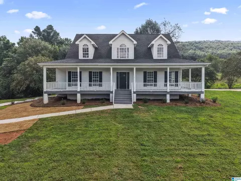 89 Lakeshore Dr, Remlap, AL 35133 photo 1